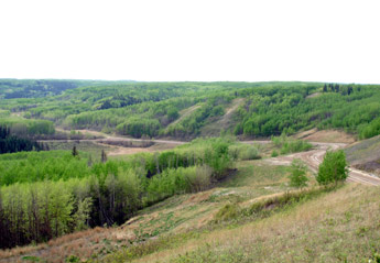 Terrace above Alááʔ S̱atǫ (Petersen's Crossing)